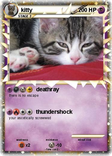 Pokemon kitty