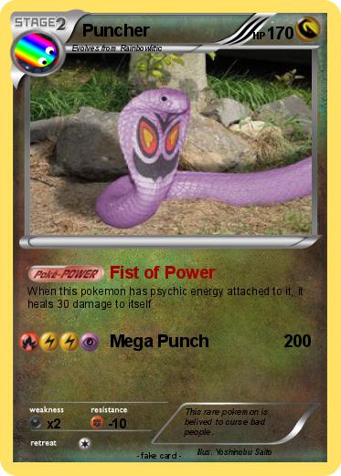 Pokemon Puncher