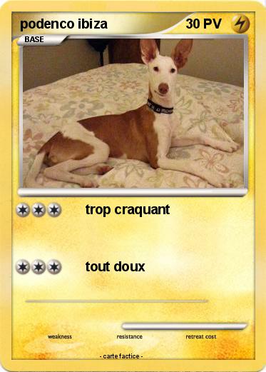Pokemon podenco ibiza