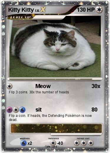 Pokemon Kitty Kitty