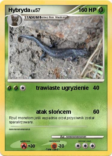 Pokemon Hybryda