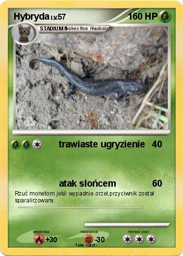 Pokemon Hybryda