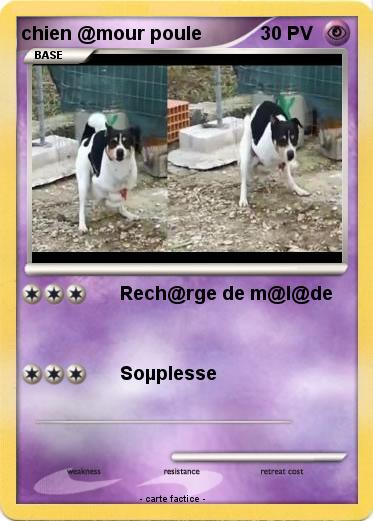 Pokemon chien @mour poule