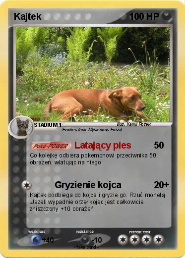Pokemon Kajtek