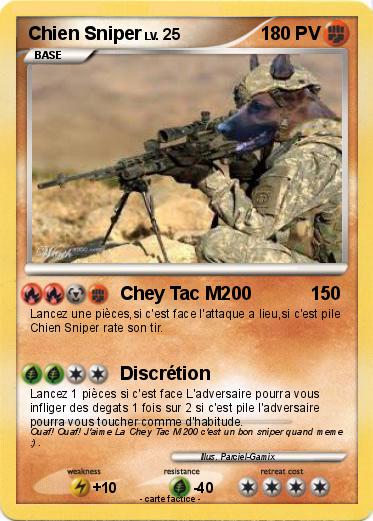 Pokemon Chien Sniper