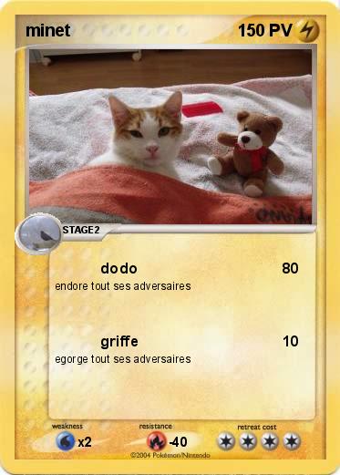 Pokemon minet