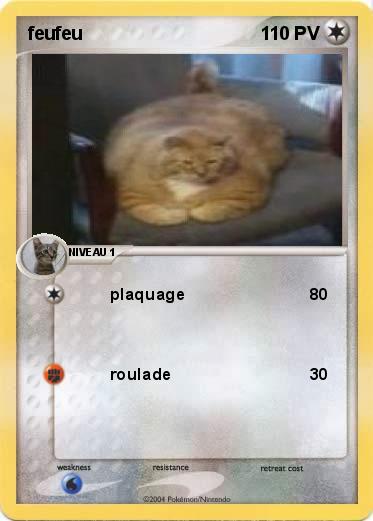 Pokemon feufeu