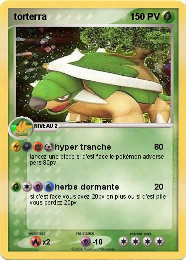 Pokemon torterra