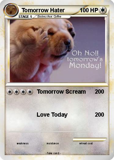 Pokemon Tomorrow Hater