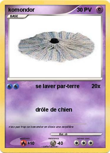 Pokemon komondor