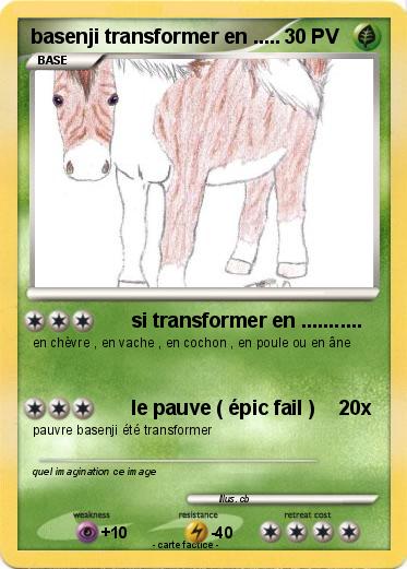 Pokemon basenji transformer en .....