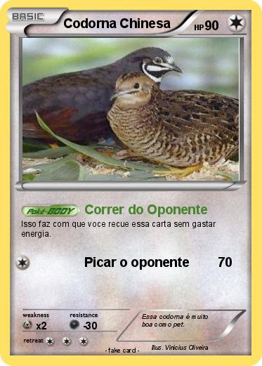 Pokemon Codorna Chinesa