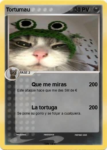 Pokemon Tortumau