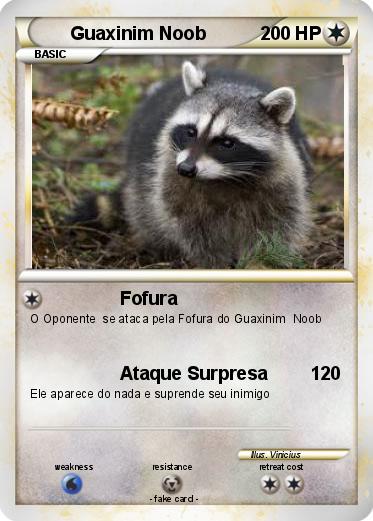 Pokemon Guaxinim Noob