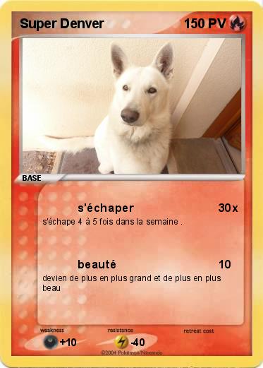 Pokemon Super Denver