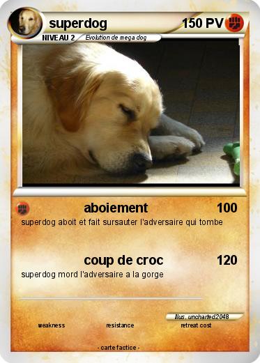 Pokemon superdog