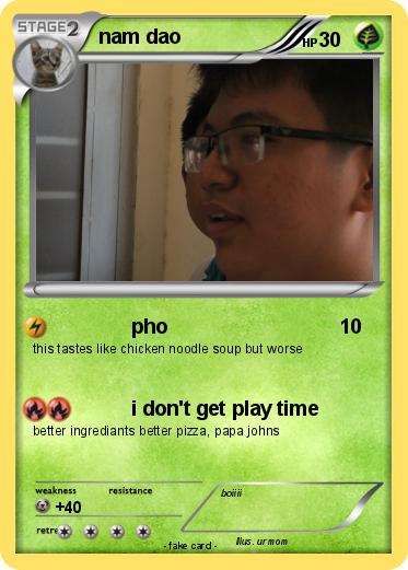 Pokemon nam dao