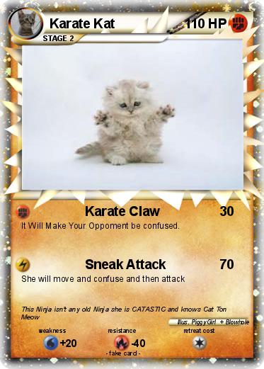Pokemon Karate Kat