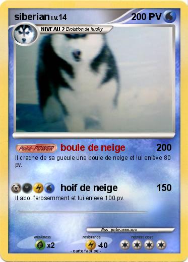 Pokemon siberian