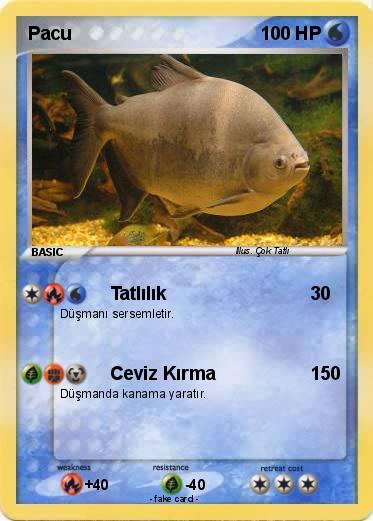 Pokemon Pacu