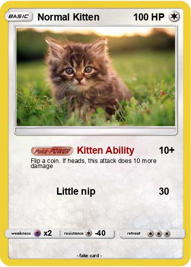 Pokemon Normal Kitten