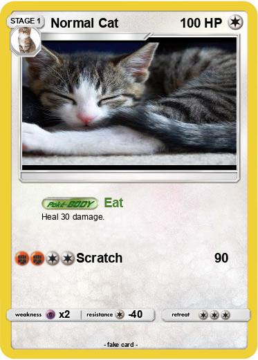 Pokemon Normal Cat