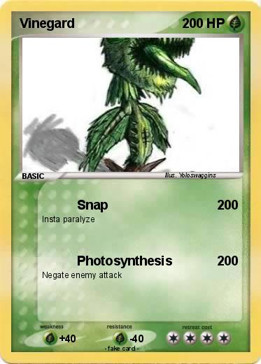 Pokemon Vinegard