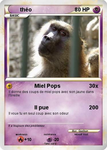 Pokemon théo