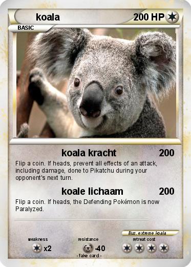Pokemon koala