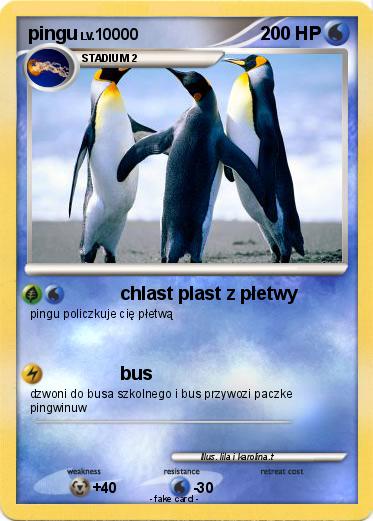 Pokemon pingu
