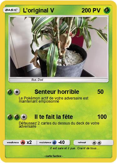 Pokemon L’original V
