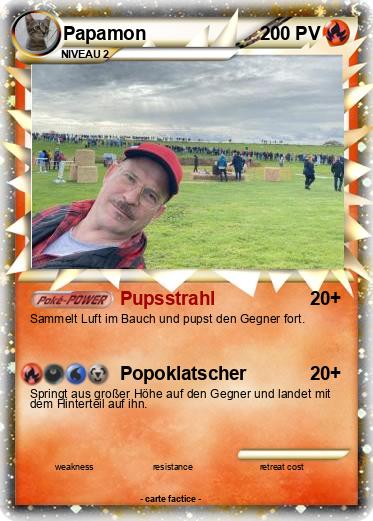 Pokemon Papamon
