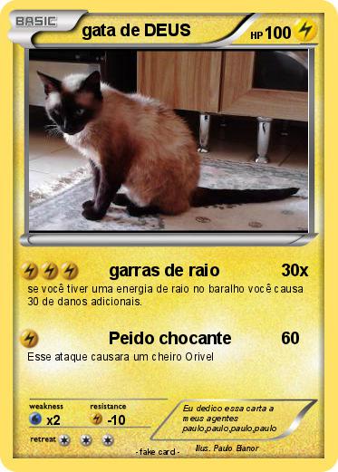 Pokemon gata de DEUS