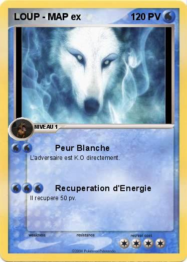 Pokemon LOUP - MAP ex