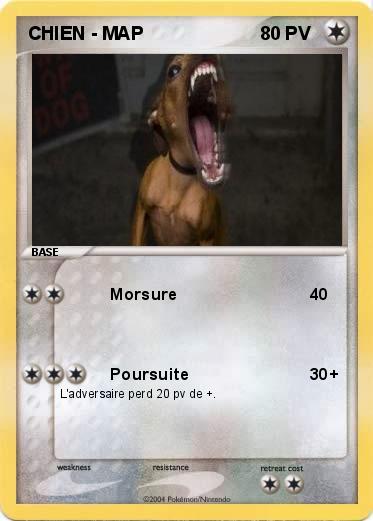 Pokemon CHIEN - MAP