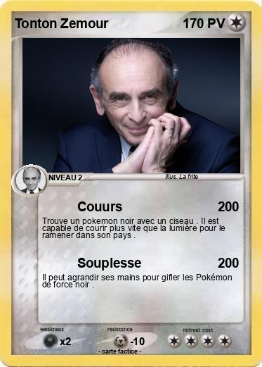 Pokemon Tonton Zemour