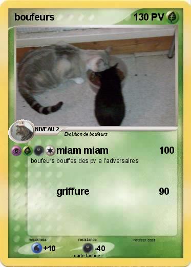 Pokemon boufeurs