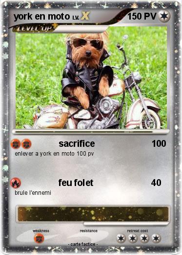 Pokemon york en moto
