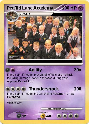 Pokemon Peafild Lane Academy