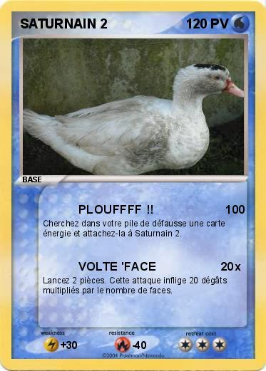 Pokemon SATURNAIN 2