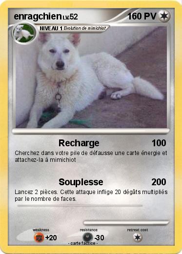 Pokemon enragchien