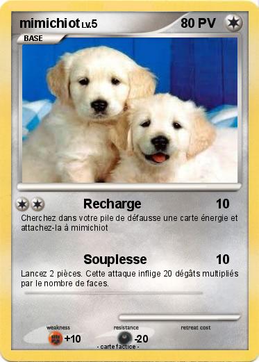 Pokemon mimichiot