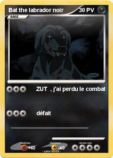 Pokemon Bat the labrador noir