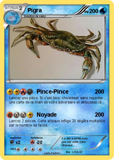 Pokemon Pigra