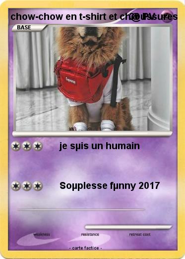 Pokemon chow-chow en t-shirt et ch@ussures