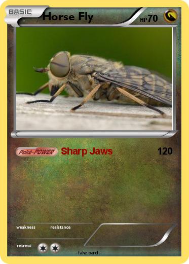 Pokemon Horse Fly