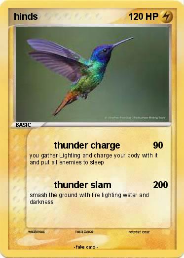 Pokemon hinds