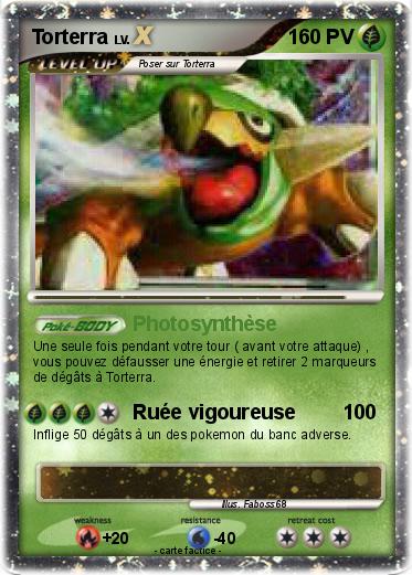 Pokemon Torterra
