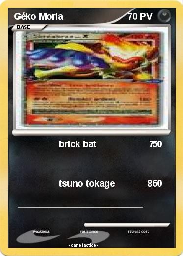 Pokemon Géko Moria