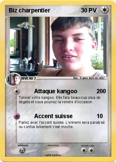 Pokemon Biz charpentier